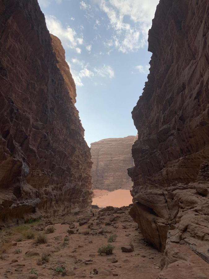 Sara Luxury Camp Hotel Wadi Rum Ngoại thất bức ảnh